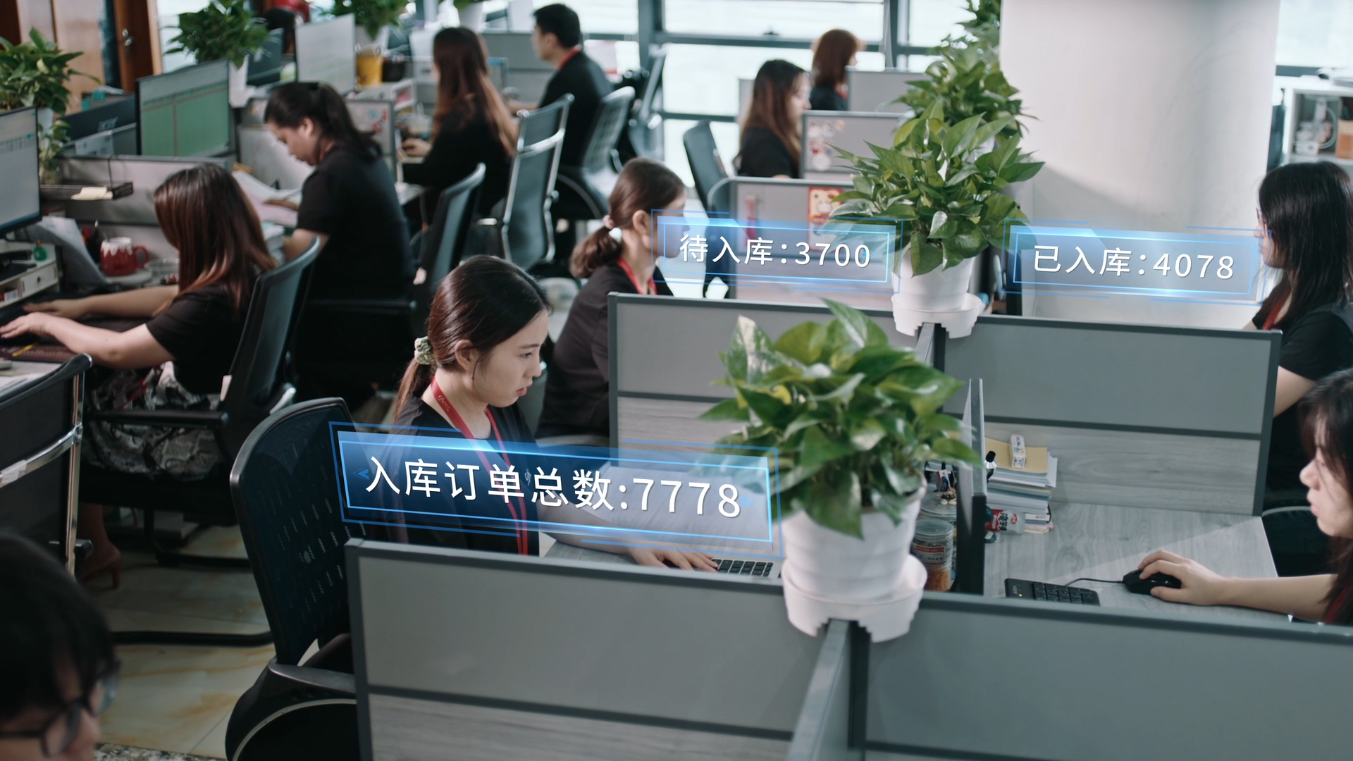 专业关务高效申报