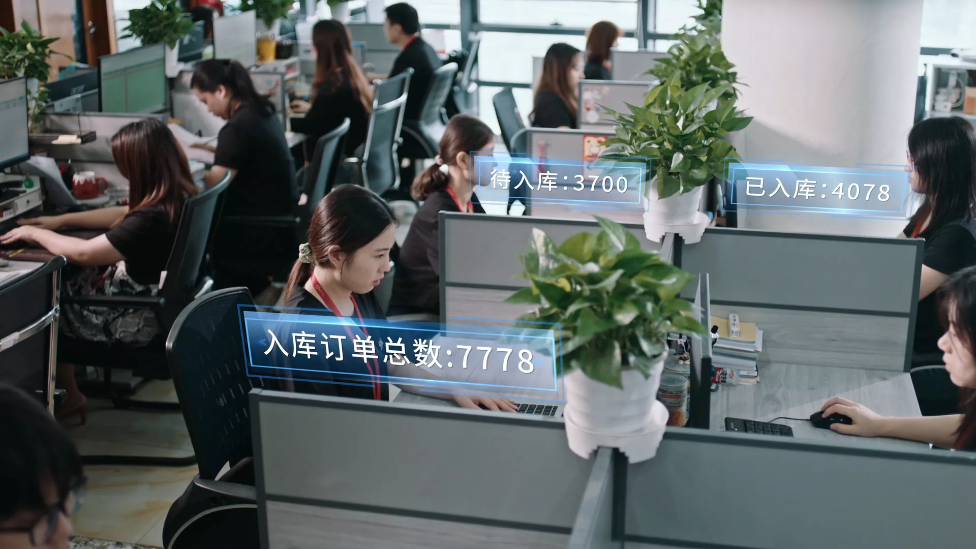 Khai báo thuế quan chuyên nghiệp hiệu quả